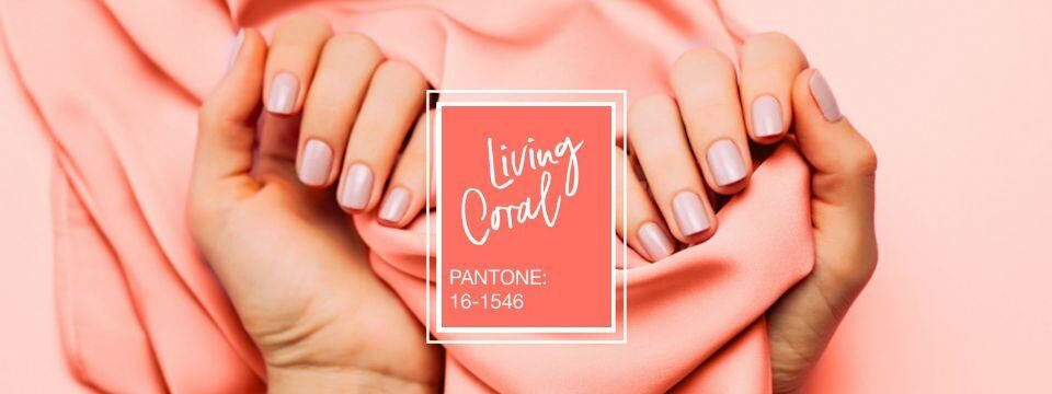 Living Coral, nová farba Pantone a hit roka 2019